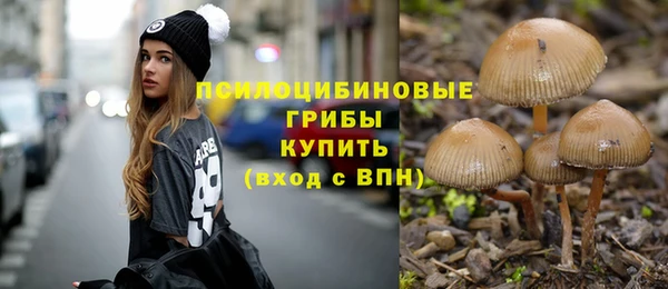 mdpv Вязники