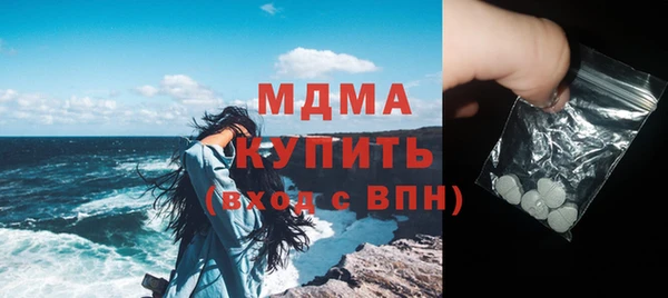 молекула духа Вяземский