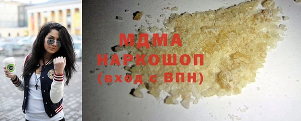 молекула духа Вяземский
