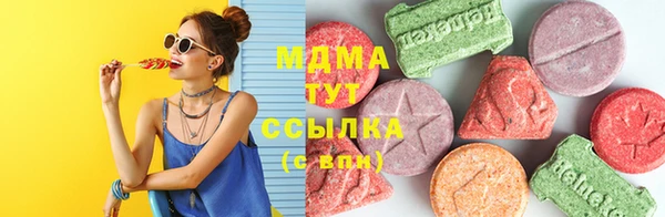 молекула духа Вяземский