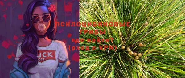 молекула духа Вяземский