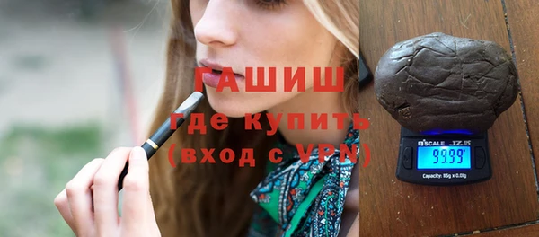 молекула духа Вяземский