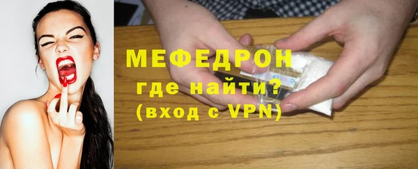 молекула духа Вяземский