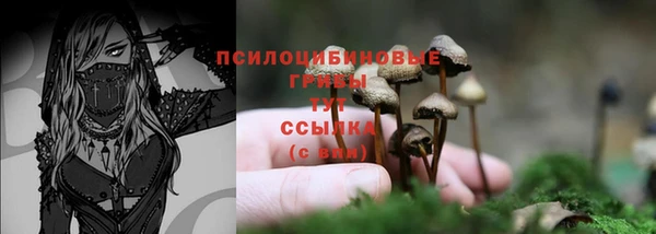 молекула духа Вяземский