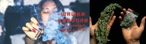 молекула духа Вязьма