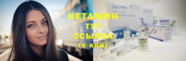 молекула духа Вяземский