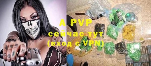 молекула духа Вяземский