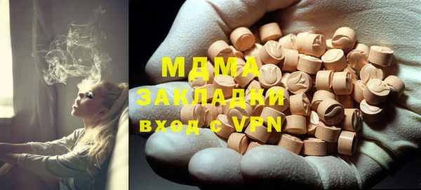 молекула духа Вяземский
