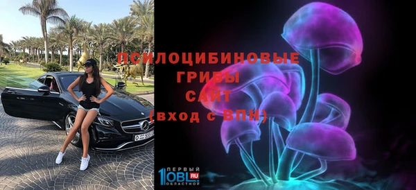молекула духа Вязьма