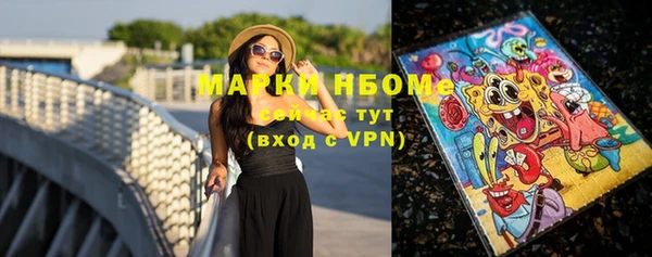 молекула духа Вязьма