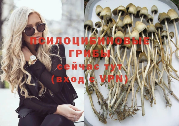 молекула духа Вязьма