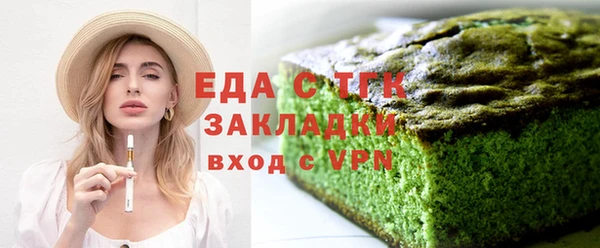 молекула духа Вяземский