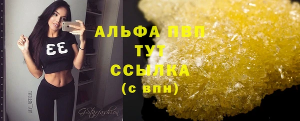 молекула духа Вяземский