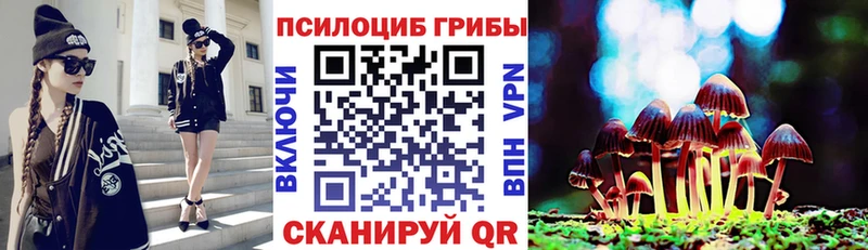 ссылка на мегу tor  Чита  Галлюциногенные грибы Cubensis  купить  цена 