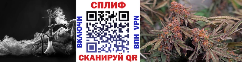 ОМГ ОМГ вход  где купить   Чита  Бошки марихуана White Widow 